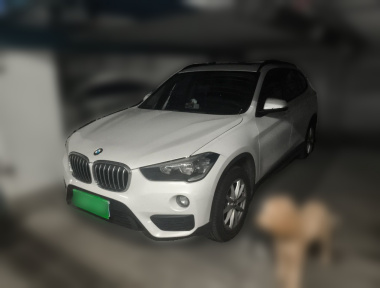 BMW X1 2019 BMW X1 2019 car image