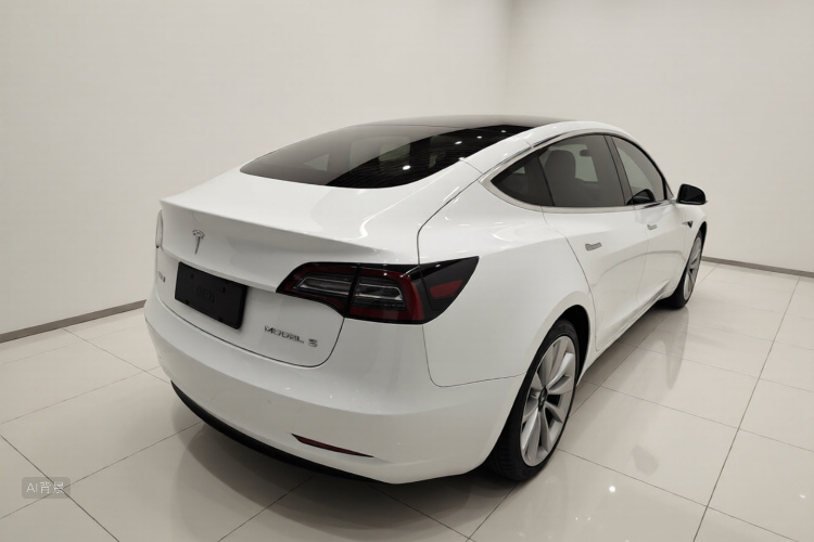 Tesla Model 3 2020 car image #7