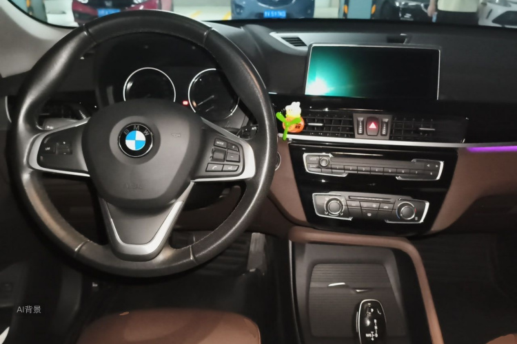 BMW X1 2019 car image #11