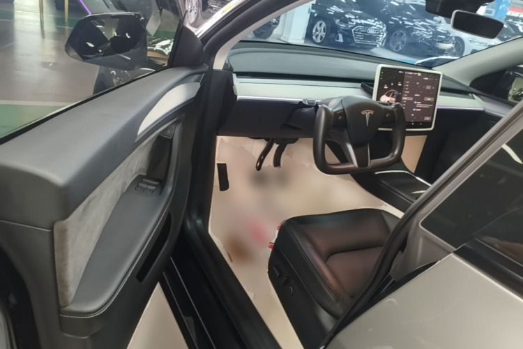 Tesla Model Y 2024 car image #12