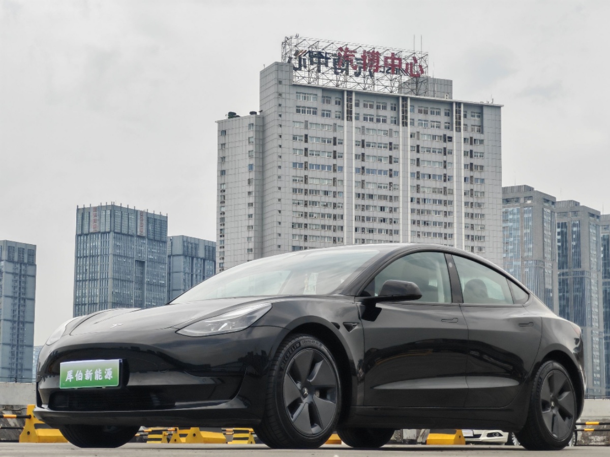 Tesla Model 3 2021 Tesla Model 3 2021 car image