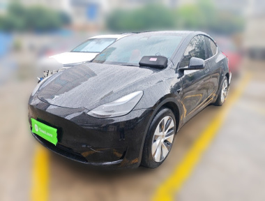 Tesla Model Y 2023 Tesla Model Y 2023 car image