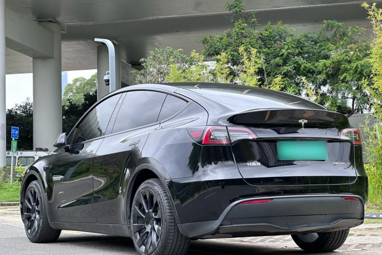 Tesla Model Y 2021 #8 Tesla Model Y 2021 car image #8