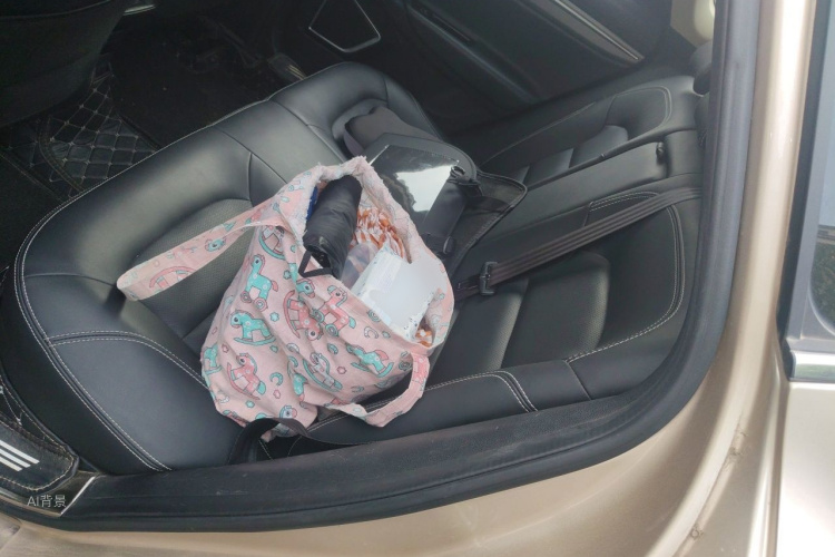 GEELY Emgrand GS 2017 car image #19