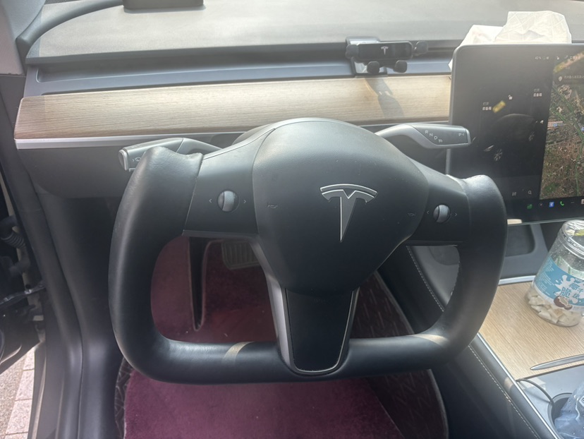 Tesla Model Y 2021 car image #5