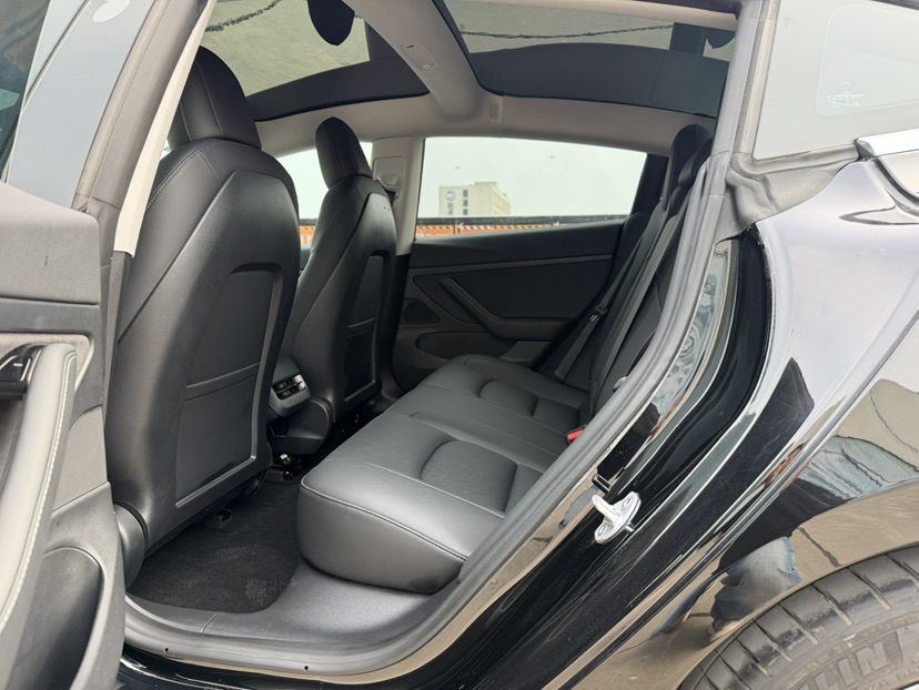 Tesla Model 3 2020 car image #5