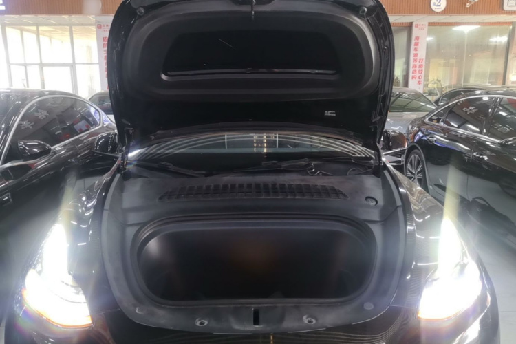 Tesla Model Y 2023 #22 Tesla Model Y 2023 car image #22
