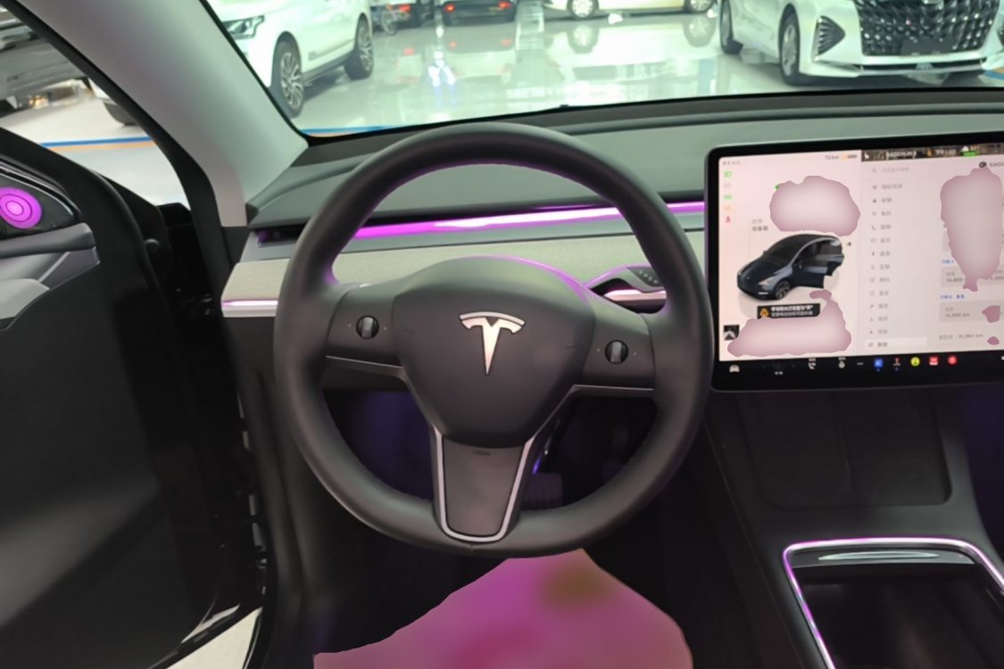 Tesla Model Y 2024 car image #11