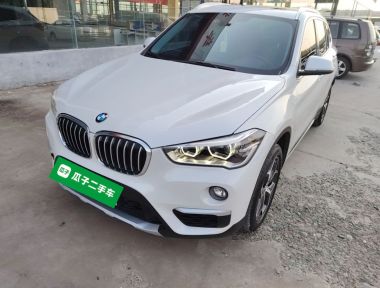 BMW X1 2019 car image 