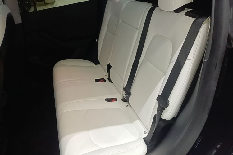 Tesla Model Y 2022 #17 Tesla Model Y 2022 car image #17