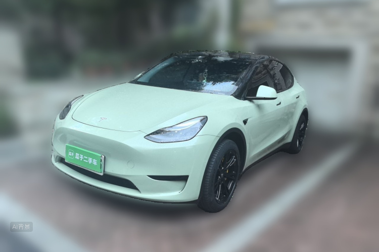 Tesla Model Y 2023 #2 Tesla Model Y 2023 car image #2