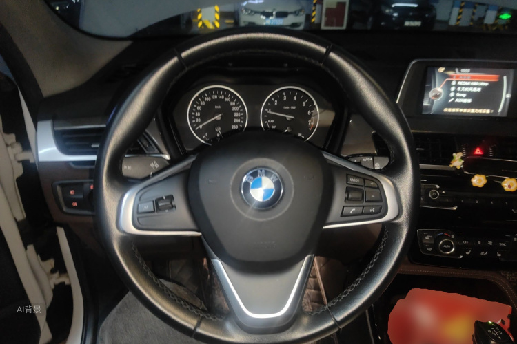 BMW X1 2017 imagen de coche #12