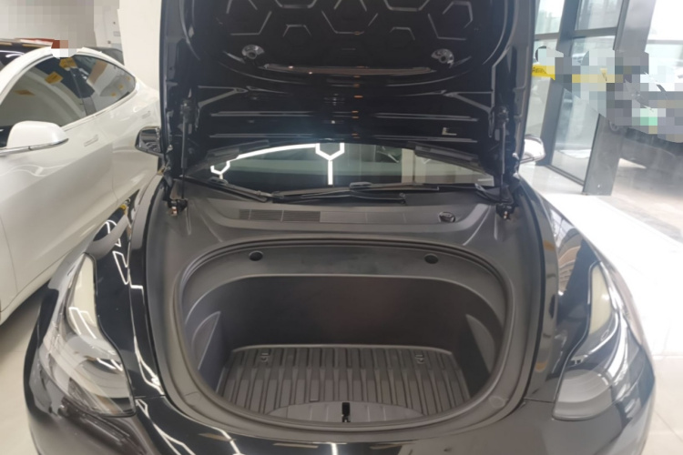 Tesla Model 3 2021 car image #20
