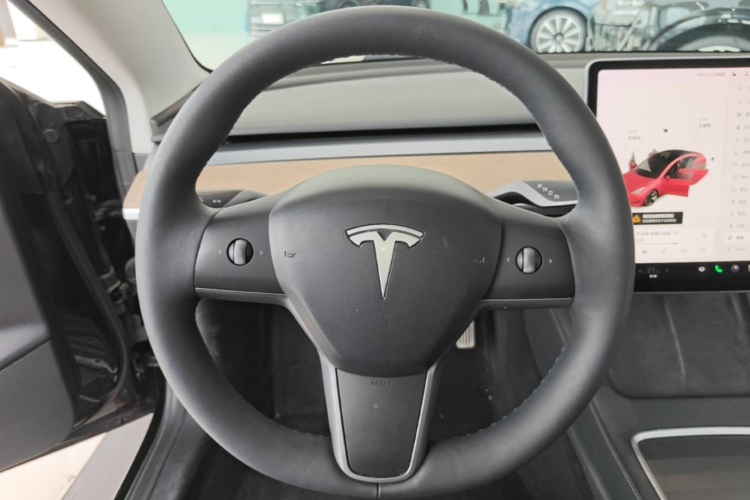 Tesla Model 3 2021 car image #11