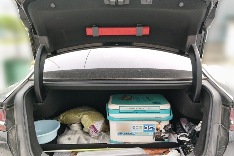 BYD Han 2021 car image #21