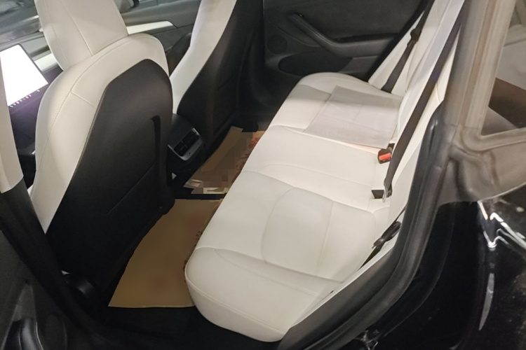 Tesla Model 3 2021 #17 Tesla Model 3 2021 car image #17