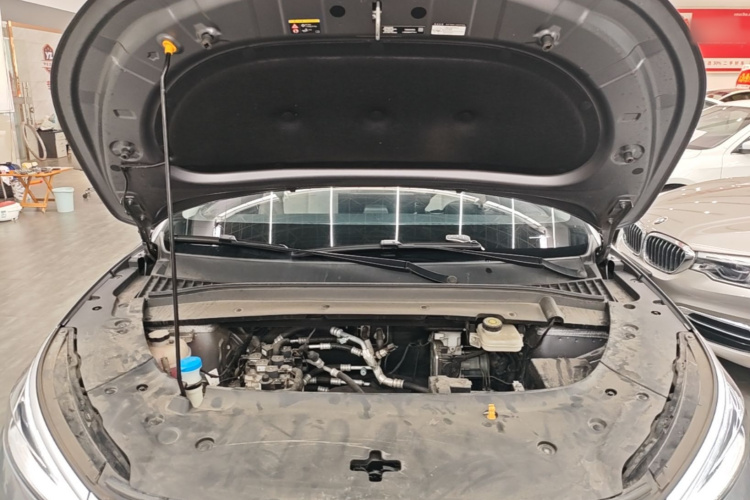 BYD Yuan Plus 2024 car image #20
