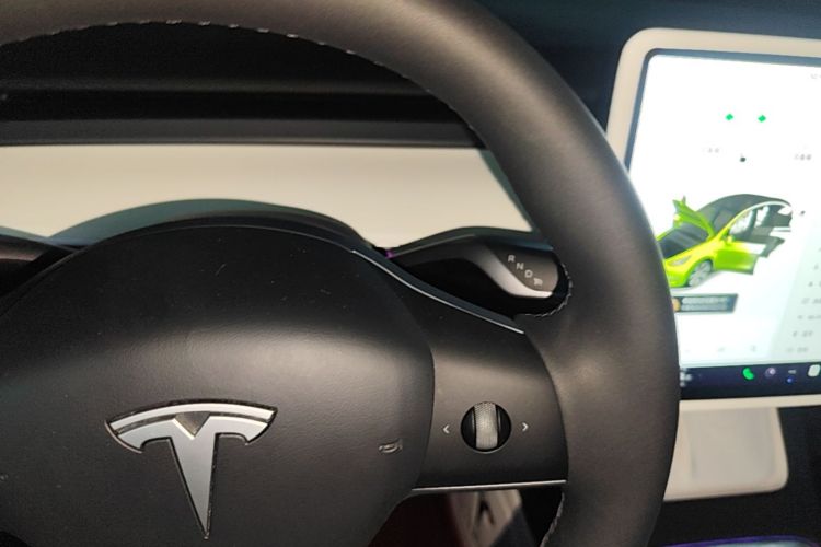 Tesla Model Y 2021 car image #14