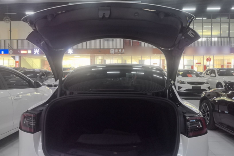 Tesla Model 3 2022 car image #19