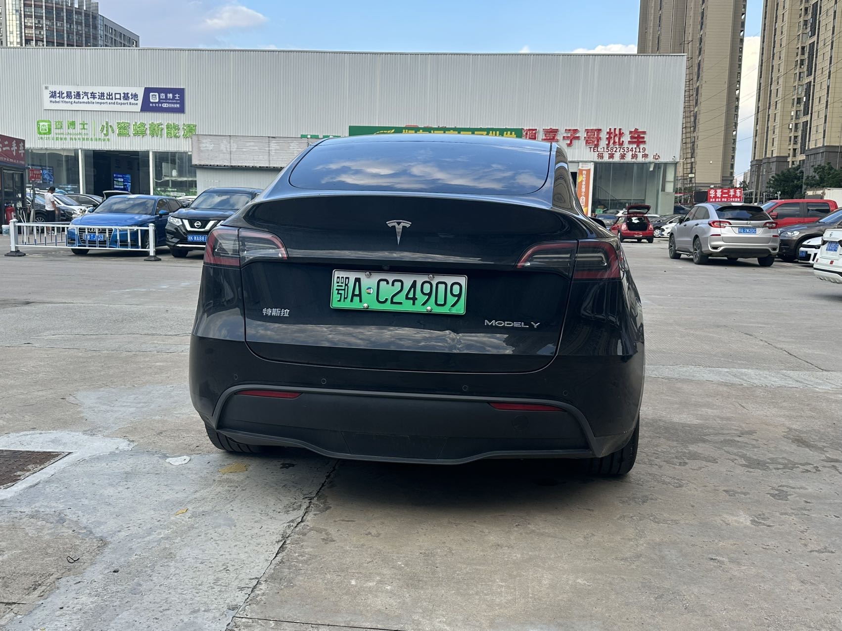 Tesla Model Y 2023 #8 Tesla Model Y 2023 car image #8