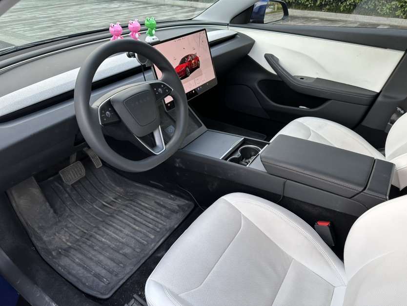 Tesla Model 3 2024 car image #6