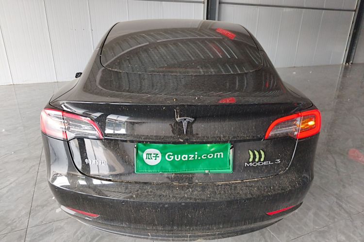 Tesla Model 3 2021 car image #4