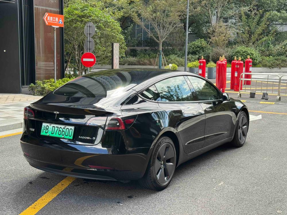 Tesla Model 3 2022 car image #6