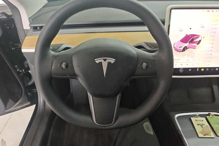 Tesla Model 3 2023 car image #15