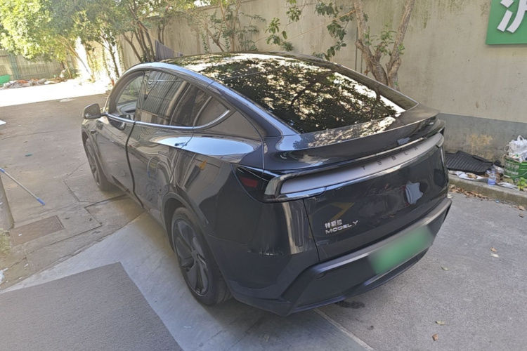 Tesla Model Y 2025 car image #5