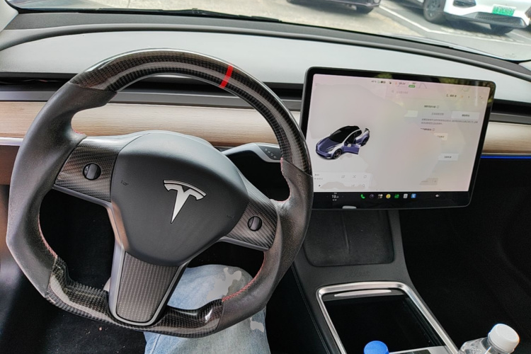 Tesla Model 3 2021 #10 Tesla Model 3 2021 car image #10