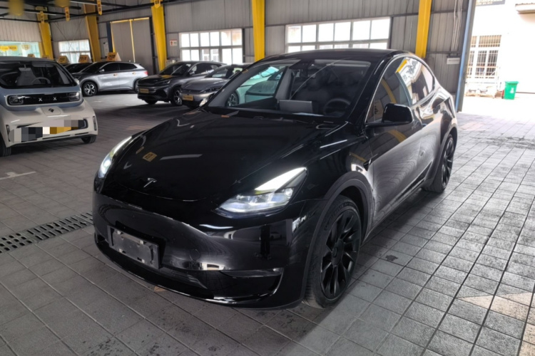 Tesla Model Y 2021 #2 Tesla Model Y 2021 car image #2
