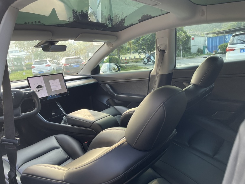 Tesla Model 3 2020 car image #4