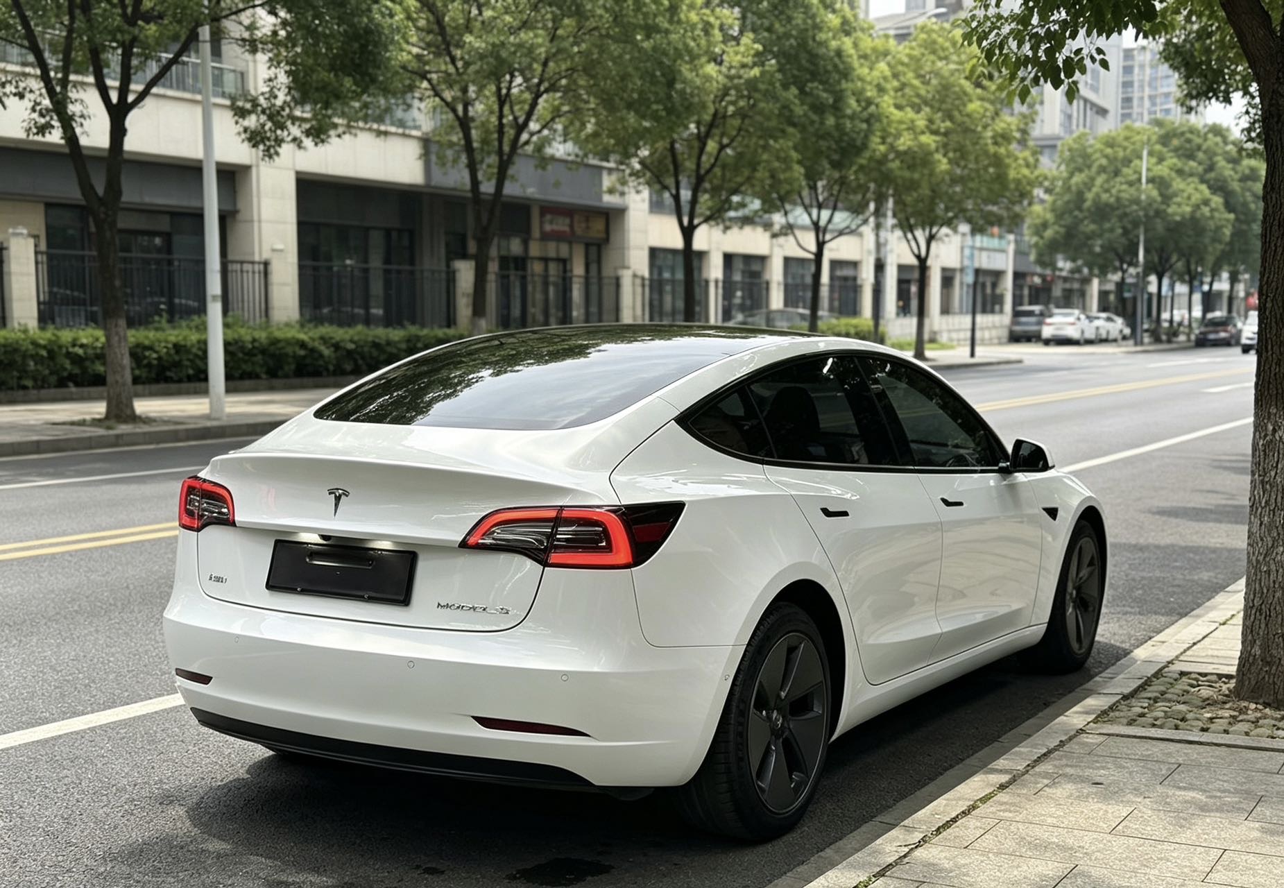 Tesla Model 3 2021 #5 Tesla Model 3 2021 car image #5