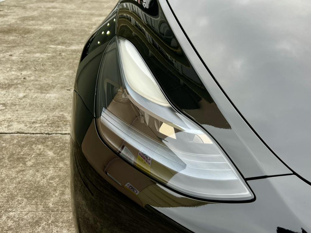 Tesla Model Y 2023 #11 Tesla Model Y 2023 car image #11