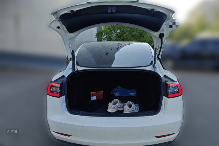 Tesla Model 3 2021 car image #21