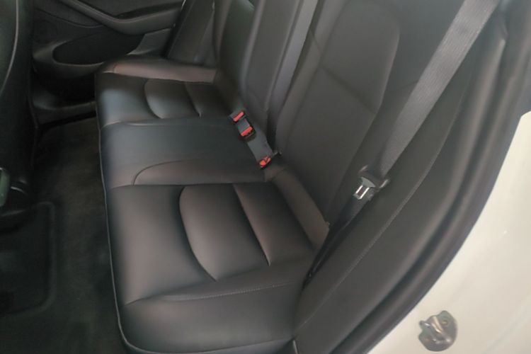 Tesla Model 3 2021 car image #13