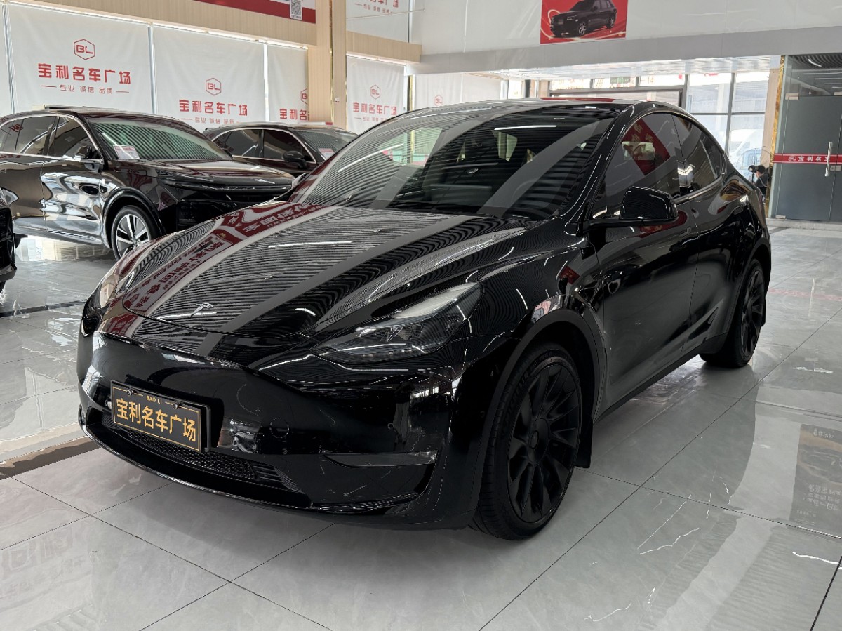 Tesla Model Y 2023 Tesla Model Y 2023 car image