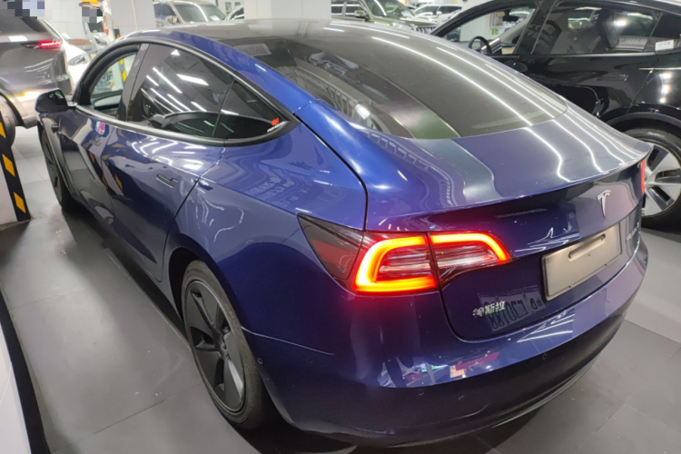 Tesla Model 3 2021 #5 Tesla Model 3 2021 car image #5