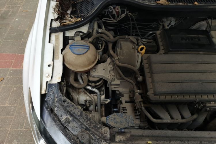 Volkswagen Polo 2016 car image #22