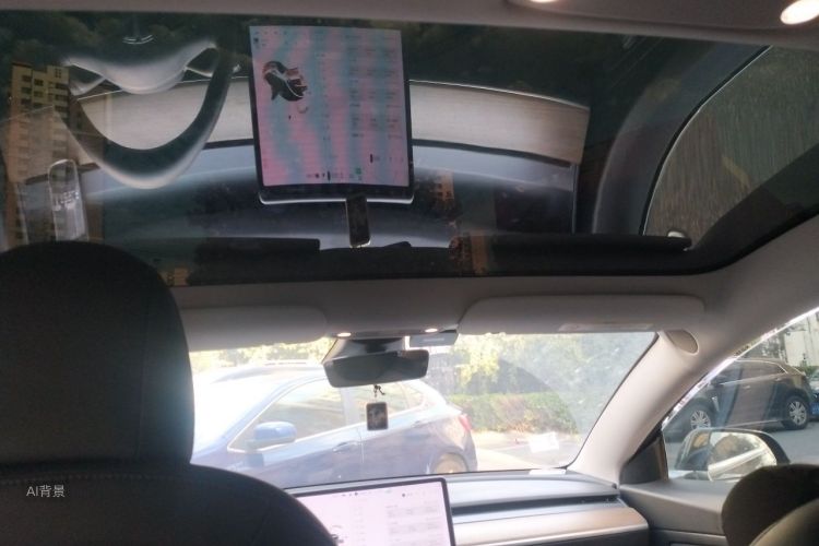 Tesla Model 3 2020 car image #20