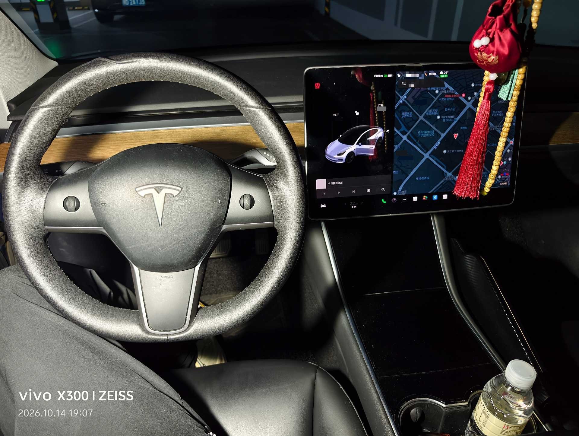 Tesla Model 3 2020 immagine di auto #3
