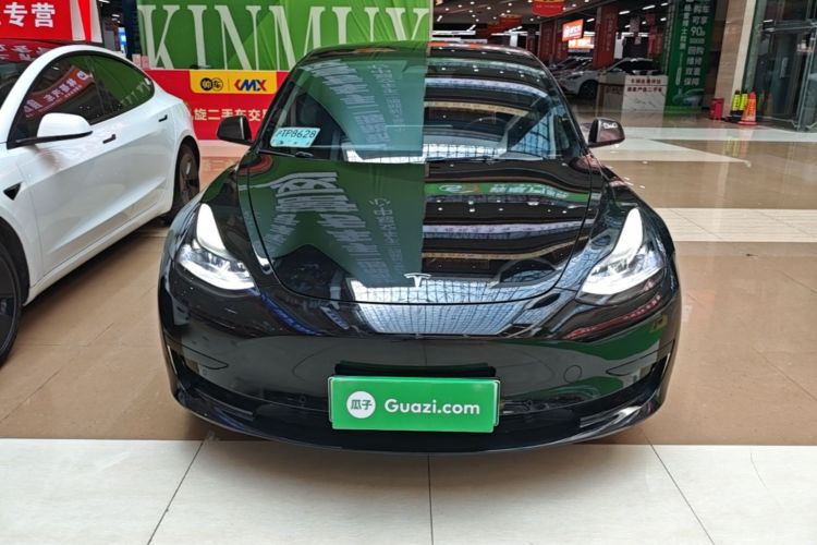 Tesla Model 3 2022 #3 Tesla Model 3 2022 car image #3