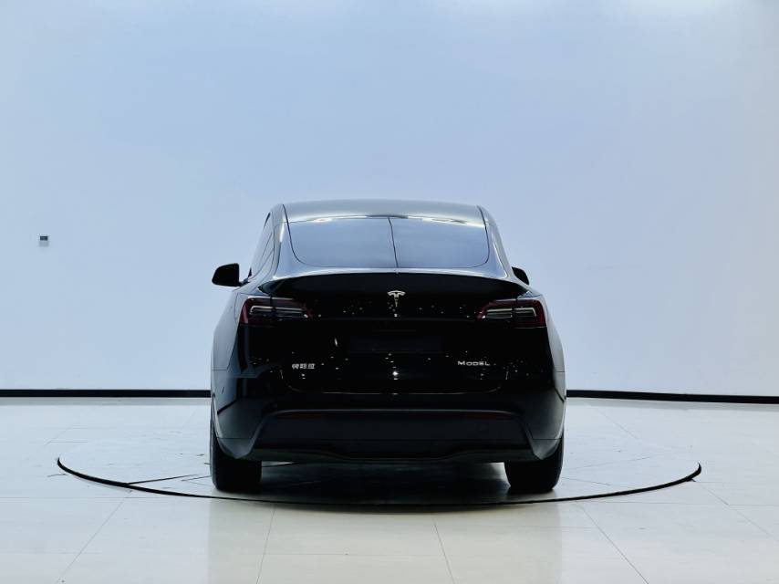 Tesla Model Y 2023 car image #2
