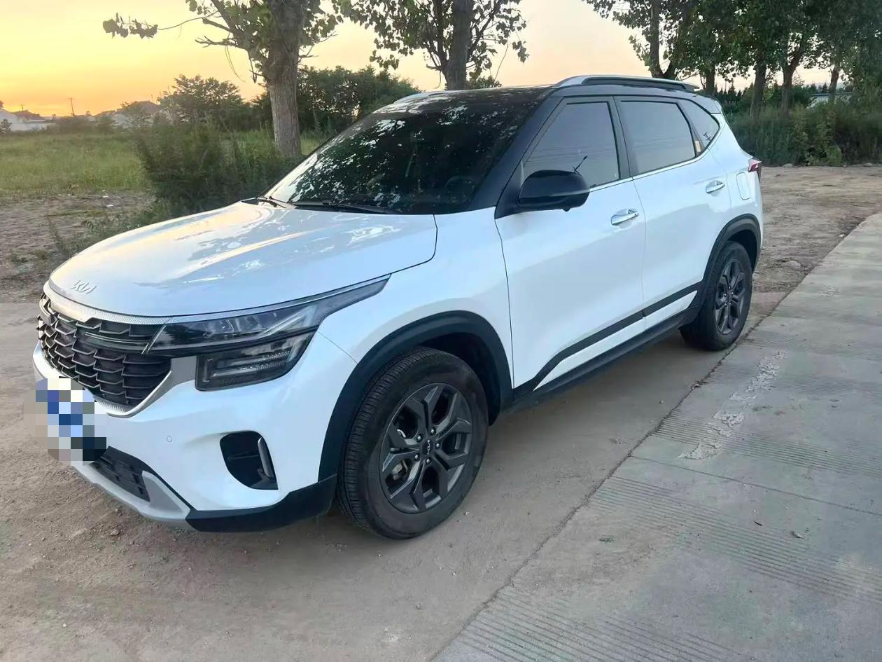 Kia Seltos 2024 car image 