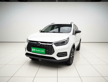 BYD Yuan New Energy 2019 car image 