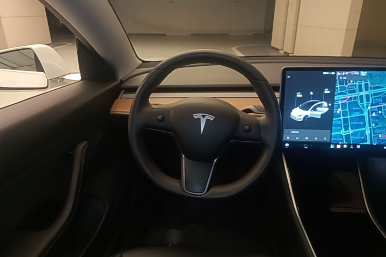 Tesla Model 3 2020 car image #11