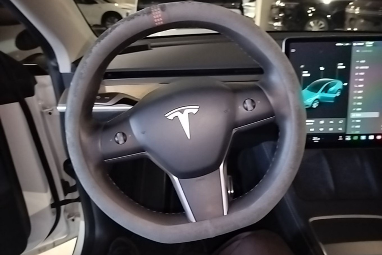 Tesla Model Y 2021 immagine di auto #11