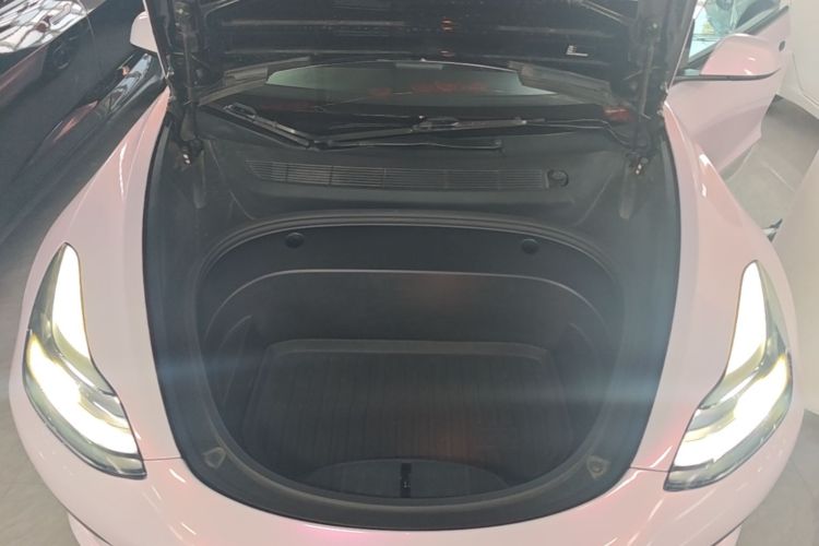 Tesla Model 3 2022 #20 Tesla Model 3 2022 immagine di auto #20