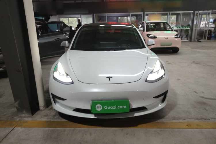Tesla Model 3 2021 #3 Tesla Model 3 2021 car image #3