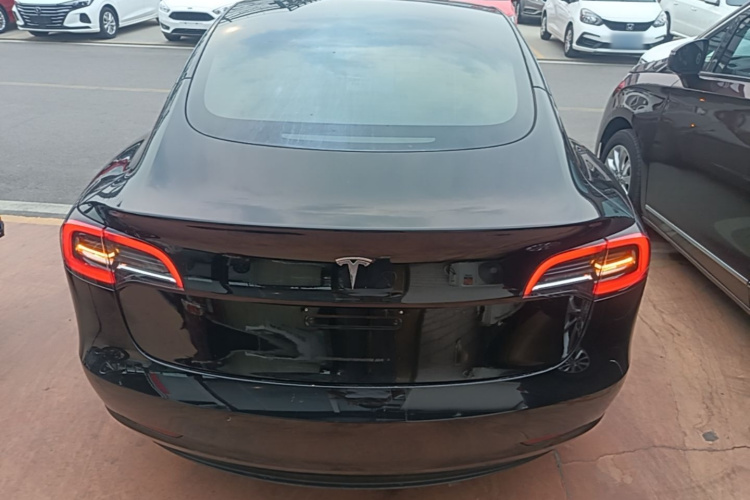 Tesla Model 3 2021 #4 Tesla Model 3 2021 immagine di auto #4